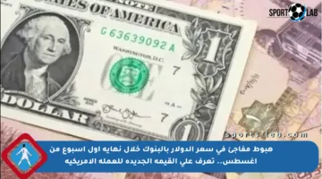 هبوط مفاجئ في سعر الدولار بالبنوك خلال نهاية أول أسبوع من أغسطس.. تعرف على القيمة الجديدة للعملة الأمريكية
